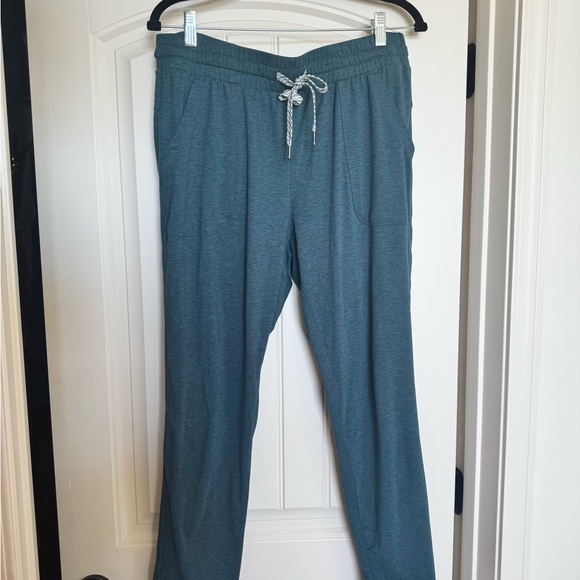 Kirkland Signature Men's Teal Joggers - Picture 1 of 3